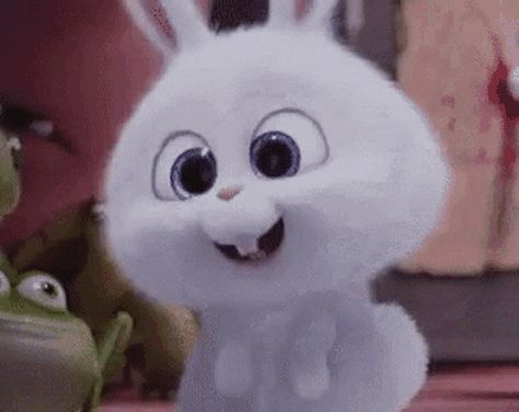 Secret Life Of Pets Snowball, Snowball Rabbit, Disney Movie Scenes, Rabbit Gif, Snow Ball, Fluffy Bunny, Video Gif, Secret Life Of Pets, Secret Life