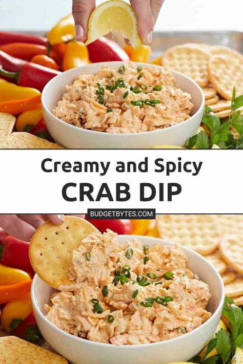 Crab Dip Copycat Publix Cajun Crab Dip, Spicy Crab Dip Recipe, Crab Dips And Appetizers, Imation Crab Dip Recipe, Jalapeno Crab Dip, Artificial Crab Dip, Crab Spread For Crackers, Cajun Crab Dip Cold, Imitated Crab Appetizers