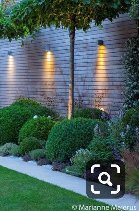 Lights Fence, Down Lights, Hanging Planters Indoor, Outdoor Garden Lighting, Fence Lighting, Garden Images, Backyard Fences, Small Garden Design, Back Gardens