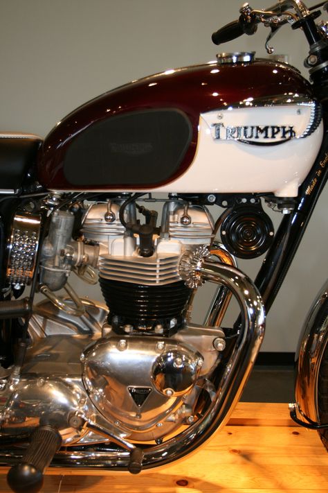 Triumph Moto, Triumph Motorbikes, Triumph Motor, Triumph Cafe Racer, Triumph Motorcycle, Bsa Motorcycle, Triumph Bikes, Triumph Bobber, Slight Edge