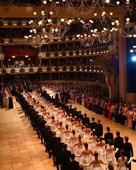 Today the 63rd Vienna Opera Ball takes place at the Vienna State Opera. Let‘s waltz! 💃💫 #viennanow Vienna Ball Aesthetic, Debutante Ball Aesthetic, Debutante Aesthetic, Vienna Ball, Vienna Opera Ball, Ballroom Aesthetic, Opera Aesthetic, Masquerade Prom, Vienna State Opera