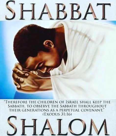 Shabbat Shalom Happy Shabbat Shalom, Shabbat Shalom Images Beautiful, Shabbat Shalom Bible Verse, Shabbat Shalom Images Funny, Shabbat Shalawam, Shema Yisrael Prayer, Sabbath Quotes, Shabbat Shalom Images, Sabbath Day