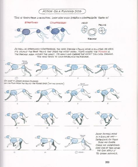 How To Do Animation, Leg Movement, Movement Drawing, Walk Cycle, Dog Run, Learn Animation, Animal Movement, Richard Williams, Dog Anatomy