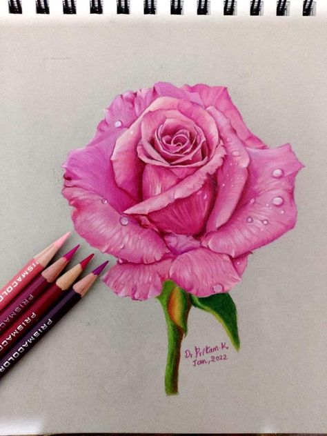 Realistic Flower Drawing Color, Realistic Prismacolor Drawings, Diamond Sketch, Pencil Flowers, Realistic Flower Drawing, Prismacolor Drawing, Pencil Inspiration, Fineliner Art, Prismacolor Art