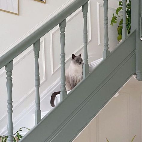 Farrow Ball Staircase, Paint Colours For Hall Stairs And Landing, Coloured Skirting Boards Hallway, Green Stair Banister, Pigeon Farrow And Ball Stairs, Green Bannister Rail, Stairs And Landing Colour Schemes, Entry Hall Paint Ideas, Green Painted Staircase