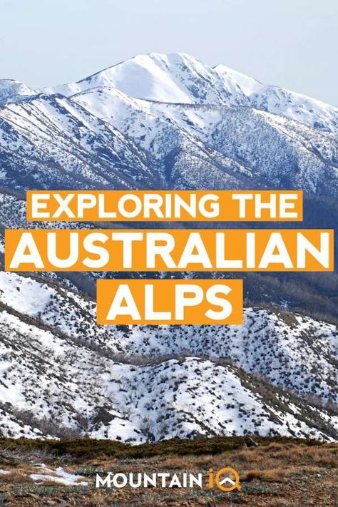 Snowy Mountains Australia, Australian Alps, Mount Kosciuszko, Egyptian Pyramids, Look At The Sky, Animal Species, Snowy Mountains, Sea Level, Australia Travel