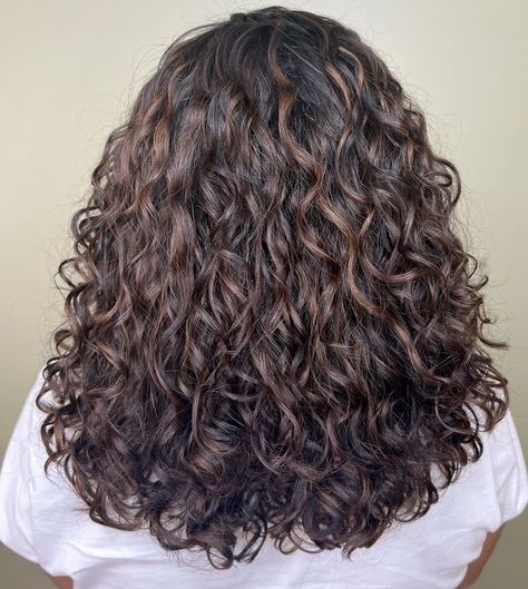 Partial Highlight Curly Hair, Chestnut Highlights On Dark Hair Curly, Brown Babylights On Black Hair, Dark Hair Highlights Curly, Balayage For Dark Brown Hair Curly, Brown Hair With Brown Lowlights, Caramel Balayage On Dark Brown Hair, Lowlights For Brunettes Curly Hair, Milk Chocolate Highlights