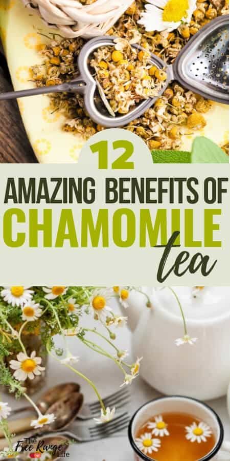 12 Amazing Chamomile Tea Benefits for Your Health Benefits Of Chamomile Tea, Benefits Of Chamomile, Chamomile Tea Benefits, Carrot Benefits, Matcha Benefits, Tea Health Benefits, Cold Sores Remedies, Turmeric Tea, Healthy Teas