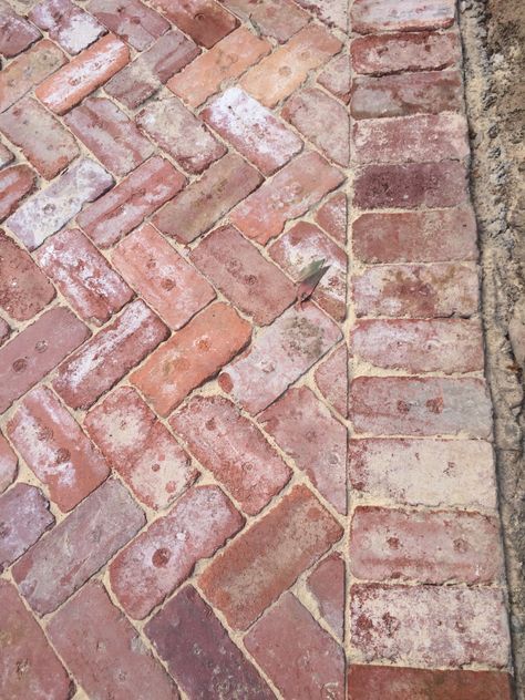 Recycled Canberra Red Brick Driveway. This is the brick look I want - white bits, but not completely white. Red Brick Driveway Ideas, Herringbone Brick Paving, Red Brick Herringbone Patio, Recycled Red Brick, Red Brick Walkway, Recycled Brick Path, Driveway Herringbone, Recycled Brick Paving, Brick Paving Patterns