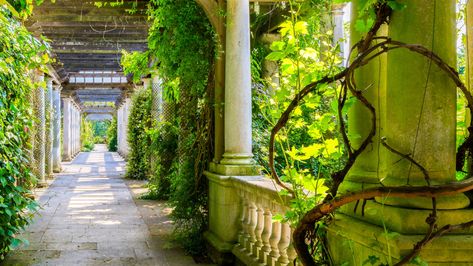 Hampstead Heath Pergola Kyoto Garden, Hill Garden, Hampstead Heath, Garden On A Hill, Sloped Garden, Hidden Garden, Holland Park, Most Romantic Places, London Park