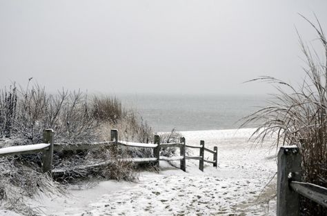 Snow on the Cape May beach Snowing On The Beach, Snow On The Beach Painting, The Beach In Winter, Snow Beach Aesthetic, Beach At Winter, Snowy Beach Aesthetic, Snow On The Beach Aesthetic, Snow On The Beach Taylor, Winter On The Beach