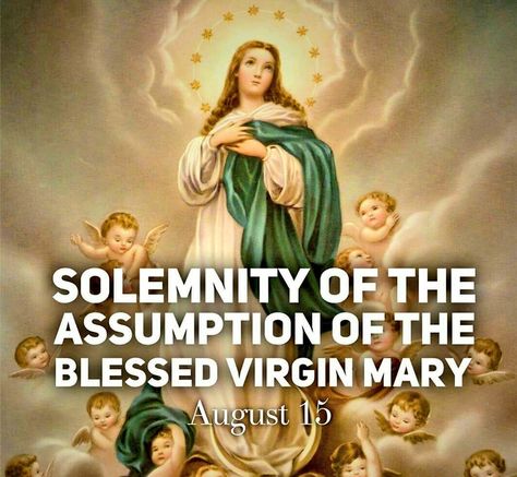 Solemnity Of The Assumption Of The Blessed Virgin Mary, Assumption Of Mary, The Blessed Virgin Mary, Good Morning Life Quotes, Blessed Mother Mary, Mom Son, Blessed Virgin, Blessed Virgin Mary, August 15