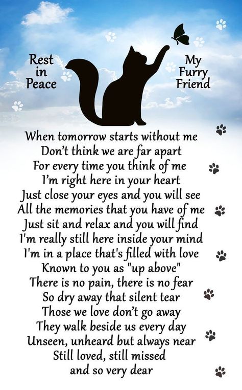 Losing A Pet Quotes, Condolences Gift, Sympathy Condolences, Pet Poems, I Miss My Cat, Cat Poems, Cat Love Quotes, Katt Grejer, Pet Quotes