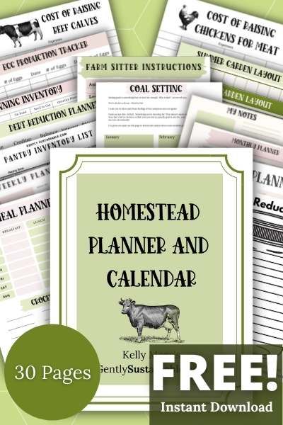 Homestead Planner, Sustainable Homestead, Homestead Farm, Long Term Food Storage, Homesteading Skills, Hobby Farms, Off Grid Living, White Bread, Chickens Backyard