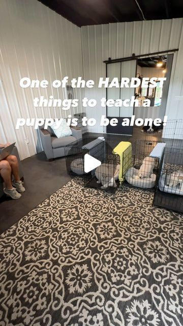 Kim Paciotti Puppy Training Specialist CPDT-KA on Instagram: "⭐️⭐️NOTE⭐️⭐️
For all of you that don’t like crates I UNDERSTAND!  Here in the US crates are more readily used than other countries. I personally am not a big fan HOWEVER I must teach people about them and how to HELP their puppy adjust. Please respect that and keep the nasty comments away. Thank you. 

➡️➡️Daytime Crate Training

✅Puppies hate to be alone and one of the hardest things new families face is leaving the puppy in the crate. 

✅The best advice I can give is it takes practice over and over from day one. 

➡️Many have the misconception bringing an 8’week puppy home they can stay in a crate for a few hours within a week or two. Try about 15
minutes not hours. Even a 12-15 week old pup may only give you an hour. 

1️⃣. H Puppy Area Indoor Ideas, Training Specialist, Puppy Litter, Crate Training Puppy, Training Puppies, Walking Out, Food Toys, Door Open, The Best Advice