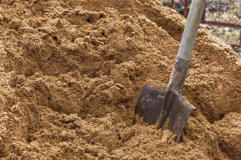 What To Know About Sandy Soil for Your Garden Planting In Sandy Soil, Building Sand, Dog Washing Station, Porch Addition, Sandy Soil, Grain Of Sand, Clay Soil, Gardening Advice, Family Handyman