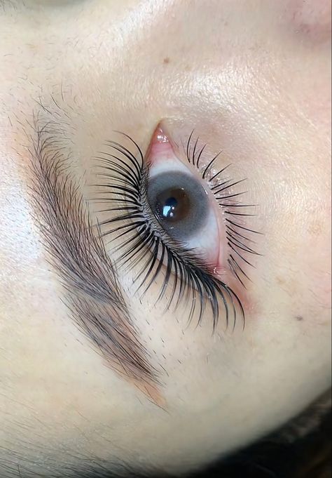 Underlash Eyelashes, Eyelash Extentions, Portrait Photography Women, Nail Jewelry, Eye Lashes, Eyelash Extension, Photography Women, Eyelash Extensions, Baby Doll