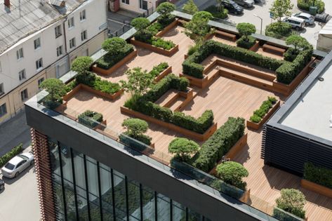 Rooftop Garden Urban, Roof Top Garden, Roof Garden Design, Green Terrace, Rooftop Design, Roof Architecture, Architecture Building Design, Landscape Architecture Design, Terrace Design