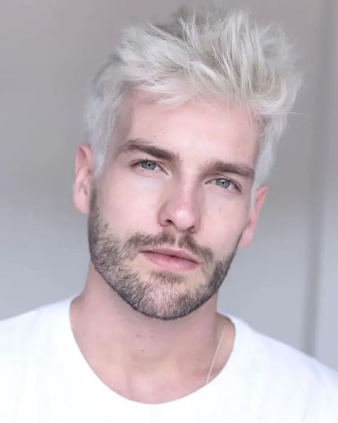 Top 28 Hairstyles for Men: Elevating Your Look With Style Mens Platinum Hair, Platinum Blonde Hair Men, Silver Hair Men, White Hair Men, Bleached Hair Men, Blonde Beard, Beard Images, White Hair Color, Men Hair Color