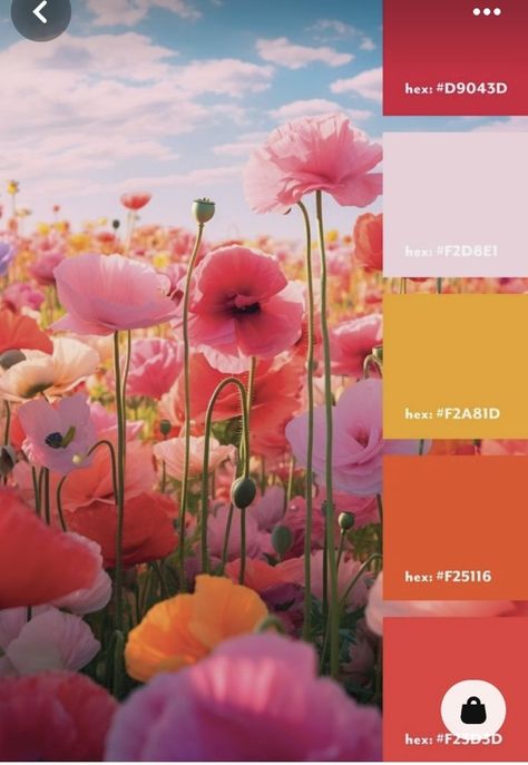 Sunset Wedding Colors, Pink Yellow Weddings, Orange Wedding Color Palette, Pink Wedding Palette, Bright Color Pallets, Orange And Pink Wedding, Spring Wedding Color Palette, Sunset Color Palette, Orange Wedding Colors