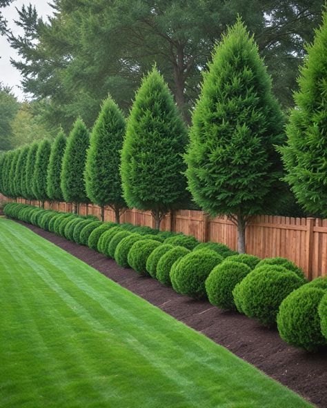 10 Best Trees To Plant Along Fence Trees Around Fence, Garden Ideas Trees, Plants By The Fence, Trees As Privacy Fence, Tree Lined Fence Backyards, Modern Cabin Landscaping, Plants Next To Fence, Side Yard Privacy Landscaping, Shrubs Along Fence Line