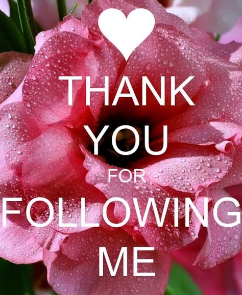 Thanks to all of you who are following me on Pinterest.  Please pin anything, and as much as you would like from my boards.  Have fun Pinning, and a very Happy Thanksgiving to you and yours. A Course In Miracles, Life Quotes Love, I Really Appreciate, Kirigami, Tai Chi, The Words, Sake, Origami, Follow Me