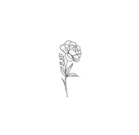 Birth Flower Carnation Tattoo, Lokelani Flower Tattoo, Carnation Flower Tattoo Drawing, Carnation Flower Tattoo Minimalist, Peonies Small Tattoo, Minimalistic Peony Tattoo, Tattoo Ideas Peony, Peony Design Drawing, Peony Tatoos Design