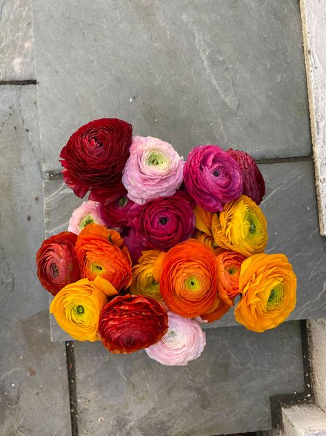 Ranunculus Flowers Bouquet, Ranculus Flowers Bouquet, Ranculus Ranunculus Bouquet, Ranaculus Bouquet, Runuculous Flower, Renuculas Bouquet, Ranunculus Colors, Ranculus Flowers, Ranuculas Flowers