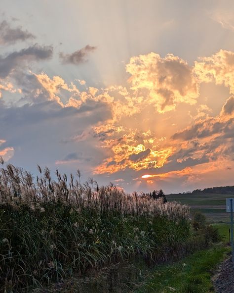 Obsessed with the sky is an understatement #fall #sunset #sunrise #beautiful #godsglory #sky #dawn #dusk #photography #pictures Sunset Sky Landscape, Utah Sunset, Dusk Photography, Dusk Landscape, Dawn Aesthetic, Calm Sunset, Dawn Sky, Field At Sunset, Fall Sunset