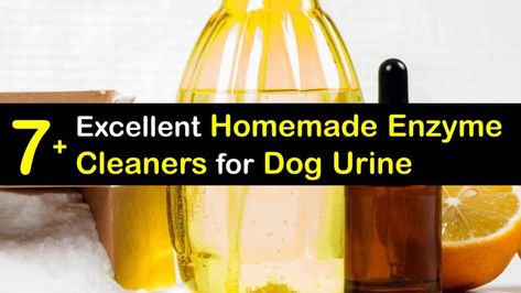 Enzyme Cleaner For Dog Urine, Diy Enzyme Cleaner, Dog Urine Odor Remover, Cleaning Pet Urine, Pet Urine Smell, Dog Pee Smell, Urine Remover, Smell Remover, Enzyme Cleaner