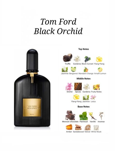 Tom Ford Black Orchid Perfume, Black Orchid Perfume, Black Orchid Tom Ford, Orchid Perfume, Perfume Notes, Fragrance Lab, Best Perfume For Men, Tom Ford Black Orchid, Perfume Recipes