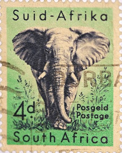 South African Elephant Stamp by DrPhotoMoto, via Flickr Old Posters, طوابع بريد, Africa Do Sul, Postage Stamp Art, Vintage Postage Stamps, Stamp Printing, Out Of Africa, Elephant Love, Stamp Collection