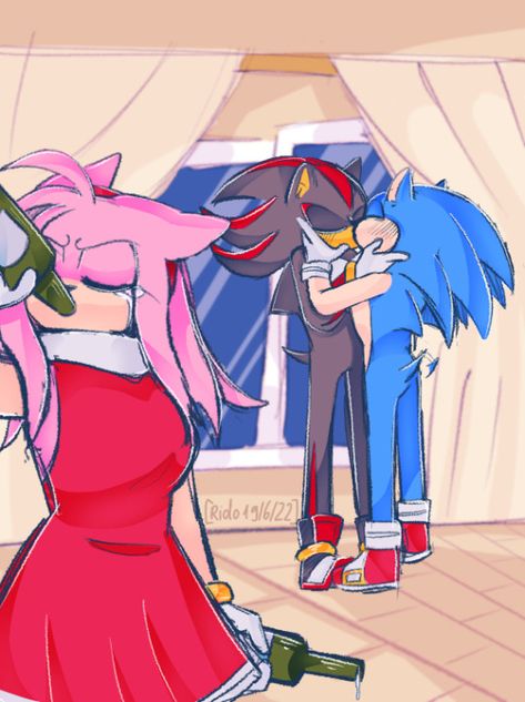 Sonadow Kiss, Sonic X Shadow Fanart, Sonic X, Sonic Heroes, Sonic Funny, Sonic 3, Sonic And Shadow, Sonic Fan Art, Amy Rose