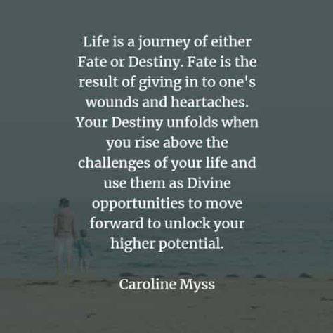 Fate And Destiny Quotes, Destiny Quotes Fate And, Quotes On Destiny, Your Destiny Quotes, Quotes About Destiny, Quotes About Meeting People, Old Soul Quotes, Destiny Quotes, Bali Retreat