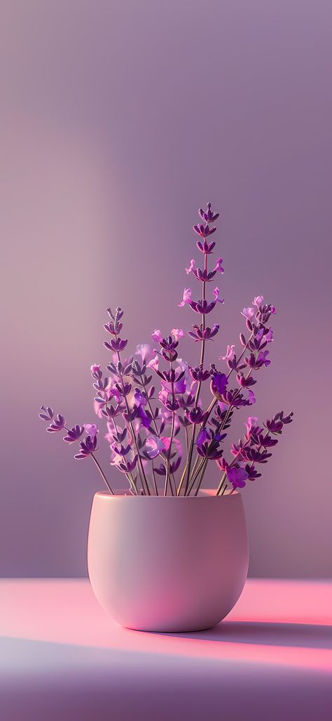 50+ Best Lavender iPhone Wallpapers 2024 (Free 4k HD Download) – CreativeBooster Telugu Songs Lyrics, Welcome Images, Daisy Wallpaper, Flowery Wallpaper, Good Morning Images Flowers, Iphone Homescreen Wallpaper, Phone Wallpaper Design, Bible Verse Wallpaper, Flower Art Painting