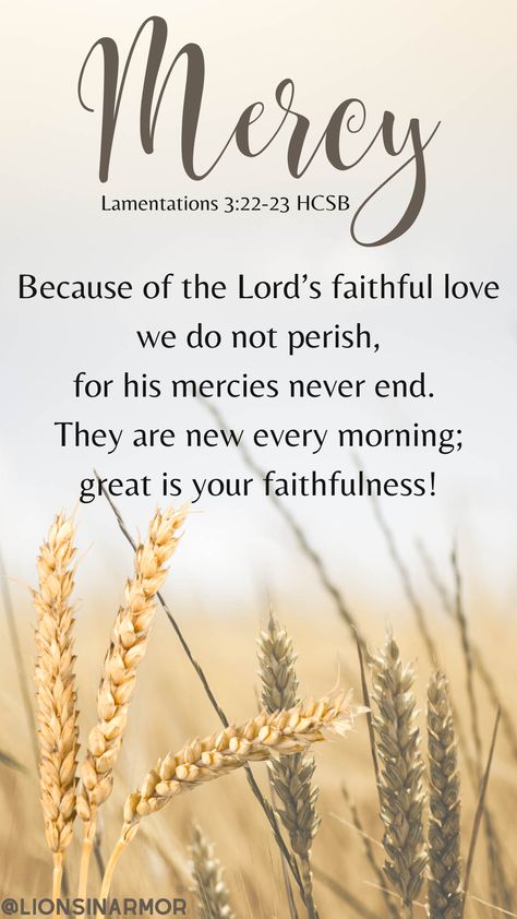 Lamentations 3:22-23 reminds us of God's Grace and Mercy. The Lord is faithful and shows us how much we can trust him each day when the sun rises again. God’s Mercy Is New Every Morning, Mercy And Grace Quotes, Gods Mercy And Grace, Merciful God Quotes, His Mercies Are New Every Morning Quotes, His Mercy Is New Every Morning, New Mercies Every Morning, Thankful God Quotes, Praise God Quotes Thank You Lord