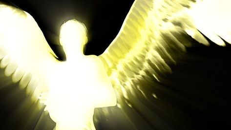 Golden Angel Wings Aesthetic, Ken Ichijouji, Angel Silhouette, Angel Light, Blood Hunter, Golden Angel, Light Angel, The Fallen Angel, Angel Aesthetic