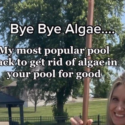 Pool Algae How To Get Rid, Diy Chlorine Pool Floater, Pool Skimmer Hacks, Pool Cleaning Hacks, Above Ground Pool Hacks, Pool Cleaning Tips, Pool Algae, Landscaping Around Pool, Winter Pool