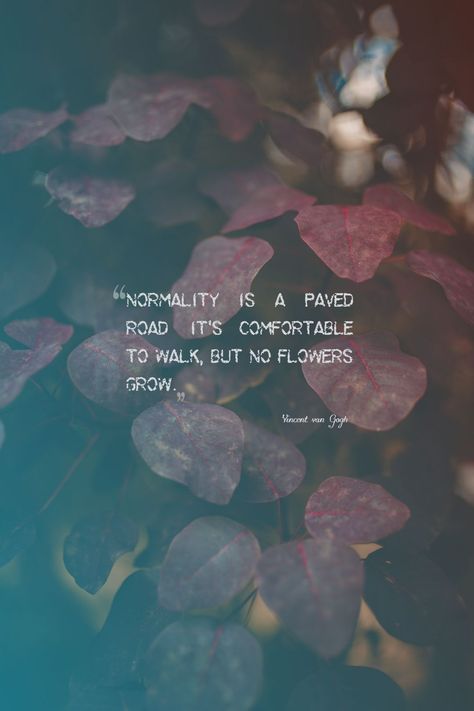 Normality is a paved road Normality Is A Paved Road Quote, Roads Quotes, Roadtrip Quotes, Buffet Quotes, Normality Is A Paved Road, Warren Buffet Quotes, Road Quotes, Thoughtful Quotes, Empty Road