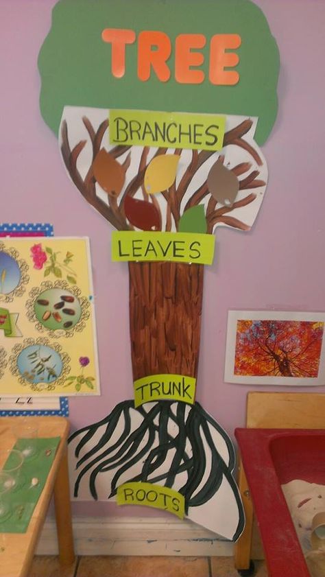 Tree parts velco interactive Tree Parts Preschool, Parts Of A Tree Preschool Craft, Tree Unit Preschool Dramatic Play, Tree Gross Motor Activities, Parts Of A Tree Art, Tree Unit Sensory Table, Trees Creative Curriculum Ideas, Tree Webbing, Parts Of A Tree Activity