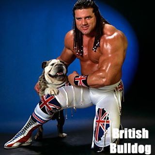 Wwf Wrestlers, Wwf Poster, Davey Boy Smith, Owen Hart, Hart Foundation, Famous Wrestlers, Wwf Superstars, Sailor Guardians, Wrestling Posters