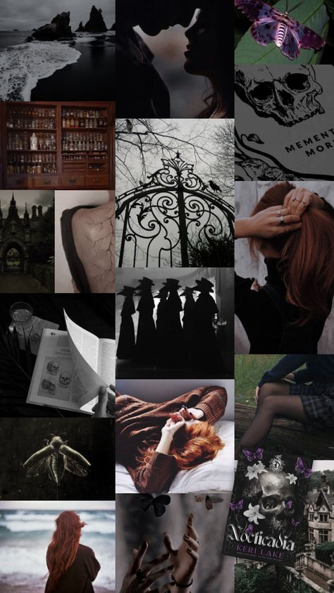 #nocticadia #kerilake Keri Lake, Fantasy Lovers, Fantasy Aesthetic, Book Inspiration, Book Aesthetic, Book Series, Book Journal, Your Aesthetic, Connect With People