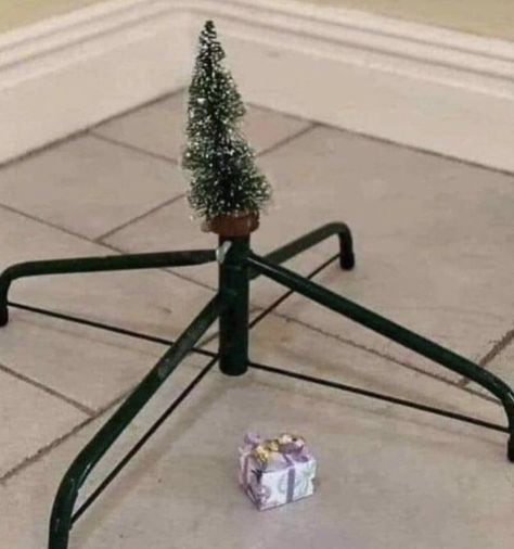 Anti Christmas, Funny Birthday Cakes, Weird Images, Christmas Mood, Internet Funny, Really Funny Pictures, Meme Pictures, Mood Pics, Christmas Humor