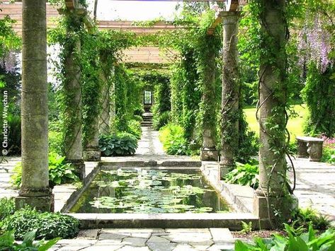 Ancient Greek Garden, Greek Garden, Persian Garden, Greek Villas, Rome Antique, Ancient Greek Architecture, British Garden, Moon Moon, Mediterranean Garden