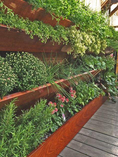 Garden Raised Bed Ideas, Herb Garden Raised, Raised Bed Ideas, Herb Garden Wall, Vertical Garden Wall Planter, Herb Wall, Vertical Garden Wall, Walled Garden, Veg Garden