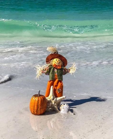 Beachy Halloween, Beach Thanksgiving, Coastal Halloween, Fall Beach, Beach Holidays, Thanksgiving Dishes, Creative Idea, Salt Life, Fall Pictures