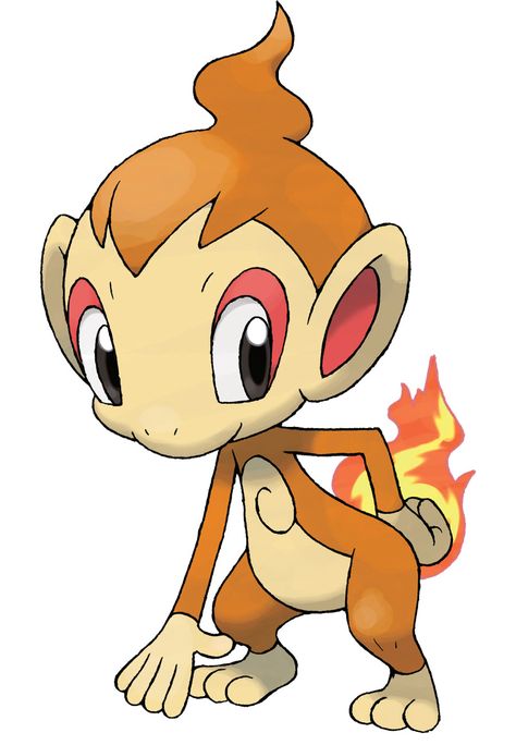 Chimchar Pokemon Wiki, Pokemon Original, Fire Pokemon, Pokémon Diamond And Pearl, Pokemon Tv, 151 Pokemon, Pokémon Diamond, Pokemon Team, Pokemon Sketch