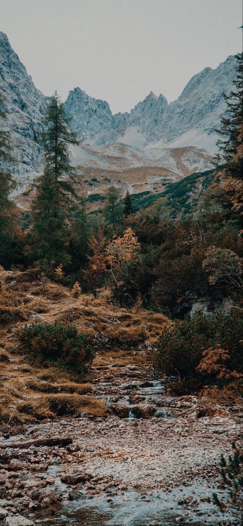 Mountain Aesthetic, Hapkido, Pretty Landscapes, Lets Go, Pretty Wallpapers Backgrounds, Fall Wallpaper, Landscape Wallpaper, Nature Aesthetic, Pretty Places