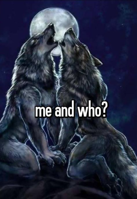 Ima Touch You Lil Bro, Wolf Memes Funny, This Is Me Btw If You Even Care, Alpha Pictures, Me N Who, Pink Wolf, Wolf Meme, Funny Wolf, Alpha Werewolf