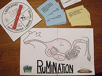 Purpose of game:  To learn about rumination Target age group:  ages 8-12 Description of game:  This game can accommodate any number of players, and can work as a team game.  It gives lots of high-c… Dairy Science, Animal Science Activities, Agriculture Education Classroom, Agriculture Classroom, Teach Ag, Ag Science, Ag Education, Ag Teacher, Veterinary Science